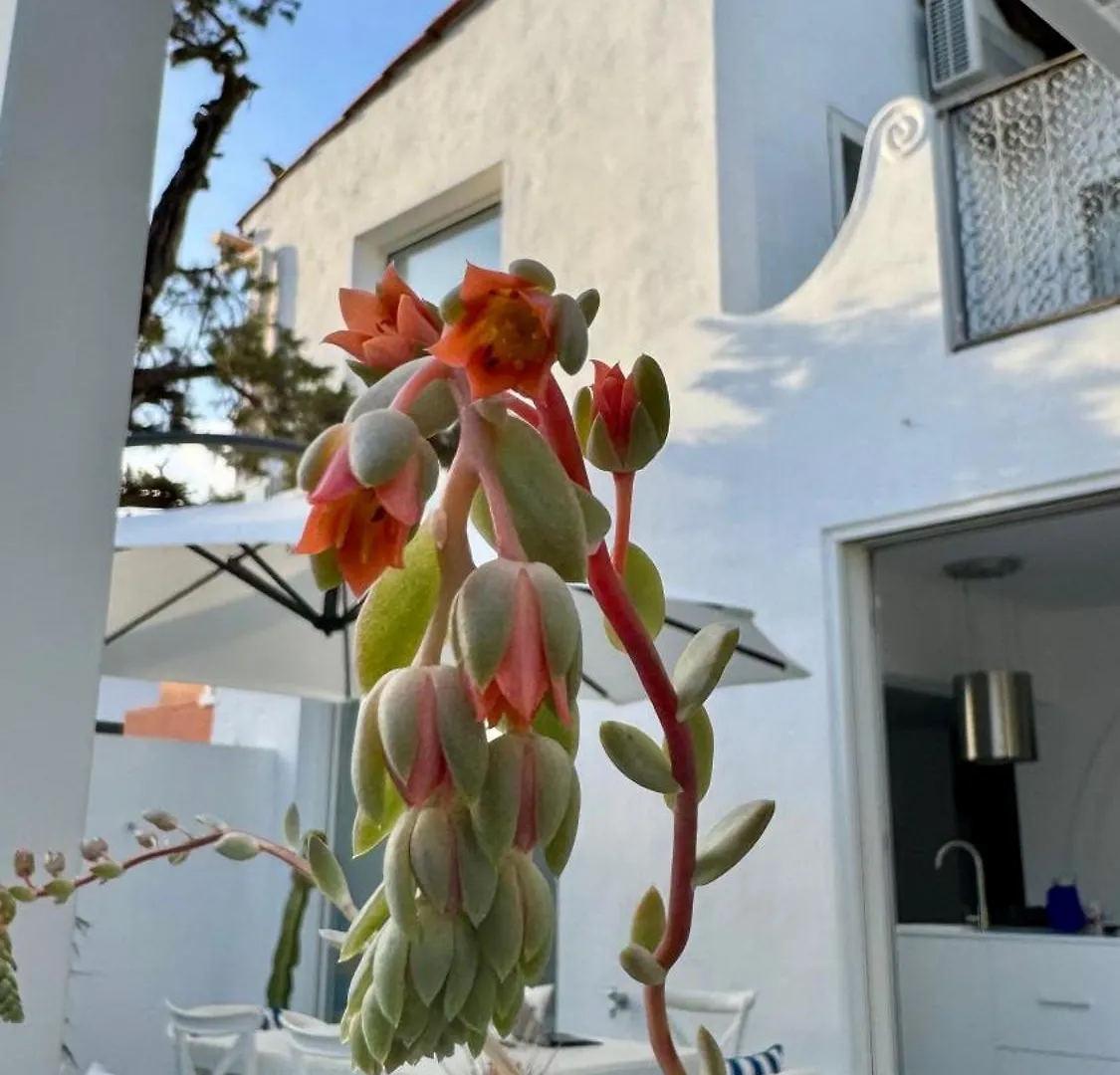Casa Blu Marbella Villa Semesterbostad